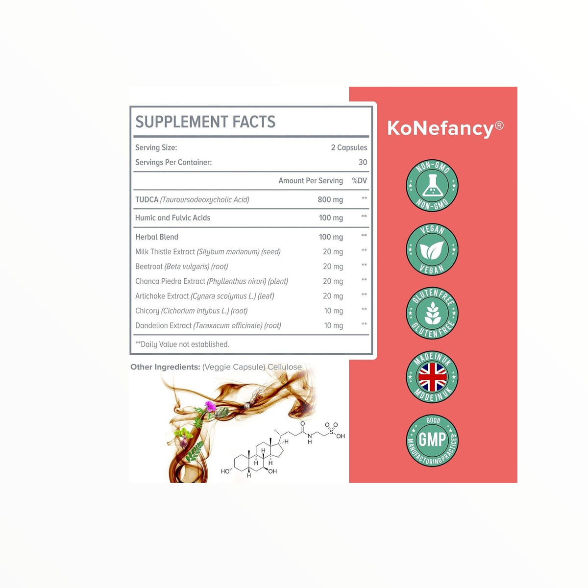 KoNefancy Advanced TUDCA 1000mg 60 Capsules | Tauroursodeoxycholic Acid Liver Support Formula